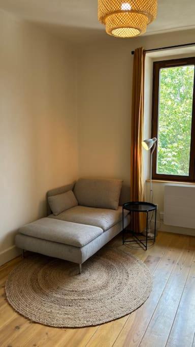 Ferienwohnung T2 Cocon Avec Balcon Et Parking La Roche-sur-Foron Exterior foto